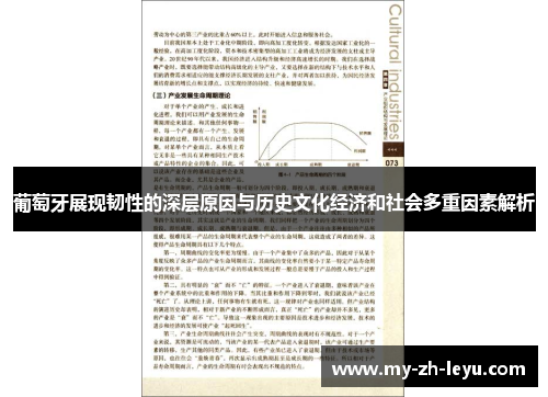 葡萄牙展现韧性的深层原因与历史文化经济和社会多重因素解析 葡萄牙展现韧性的深层原因与历史文化经济和社会多重因素解析