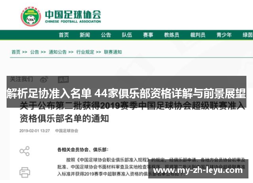 解析足协准入名单 44家俱乐部资格详解与前景展望