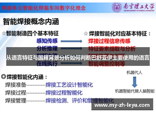 从语言特征与国籍背景分析如何判断巴舒亚伊主要使用的语言