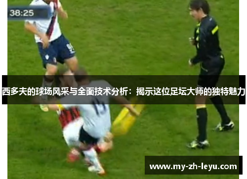 西多夫的球场风采与全面技术分析：揭示这位足坛大师的独特魅力