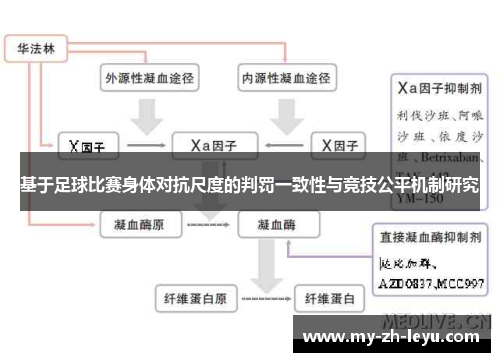 基于足球比赛身体对抗尺度的判罚一致性与竞技公平机制研究 基于足球比赛身体对抗尺度的判罚一致性与竞技公平机制研究