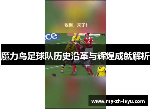 魔力鸟足球队历史沿革与辉煌成就解析