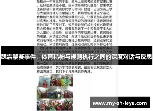 魏震禁赛事件：体育精神与规则执行之间的深度对话与反思